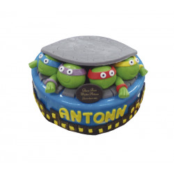 Tortues Ninja